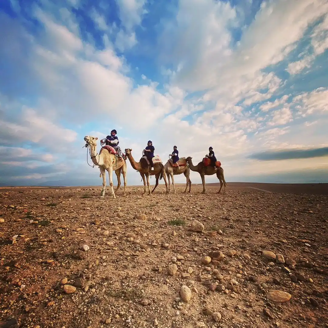 Quad + Chameau + Dîner au Le Bedouine - Photo 2